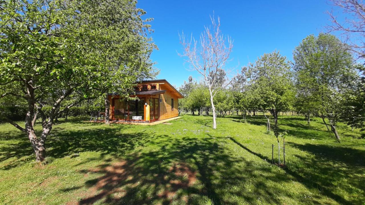 拉科维察Tiny House Grabovac别墅 外观 照片