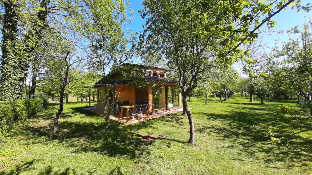 拉科维察Tiny House Grabovac别墅 外观 照片